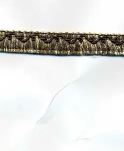 imgt1353