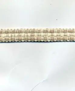 imgt1379
