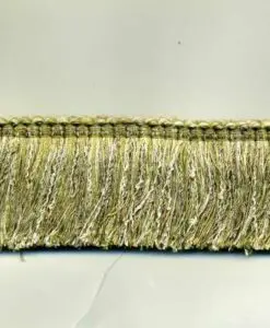imgt1571