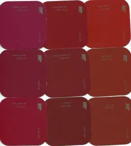 Behr Paint Swatches