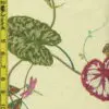 Floral Fruit Leaves 6/25/15