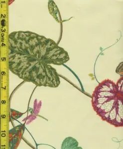Floral Fruit Leaves 6/25/15
