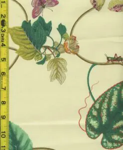 Floral Fruit Leaves 6/25/15