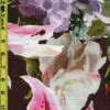 10/27/19 Fruit Floral Leaves