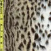 Faux Fur Novelty 10/8/20 rk
