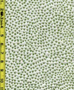 Dots 11/10/20 rk