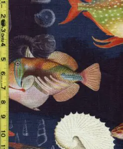 Novelty 3/9/21 rk
