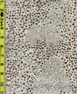 8/14/2021 Novelty, Dots gda