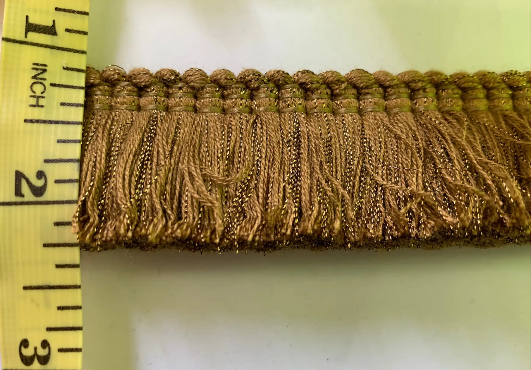 Brush Fringe 7/21/22 rk