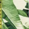4/29/2022 Leaves gda