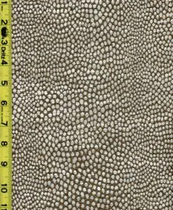 Dots 12/6/22 rk