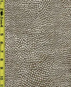 Dots 12/6/22 rk
