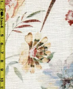 Alternative view of imgC686