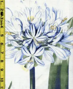 Floral 6/12/2023 cgc