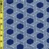 Geometric 6/12/2023 cgc