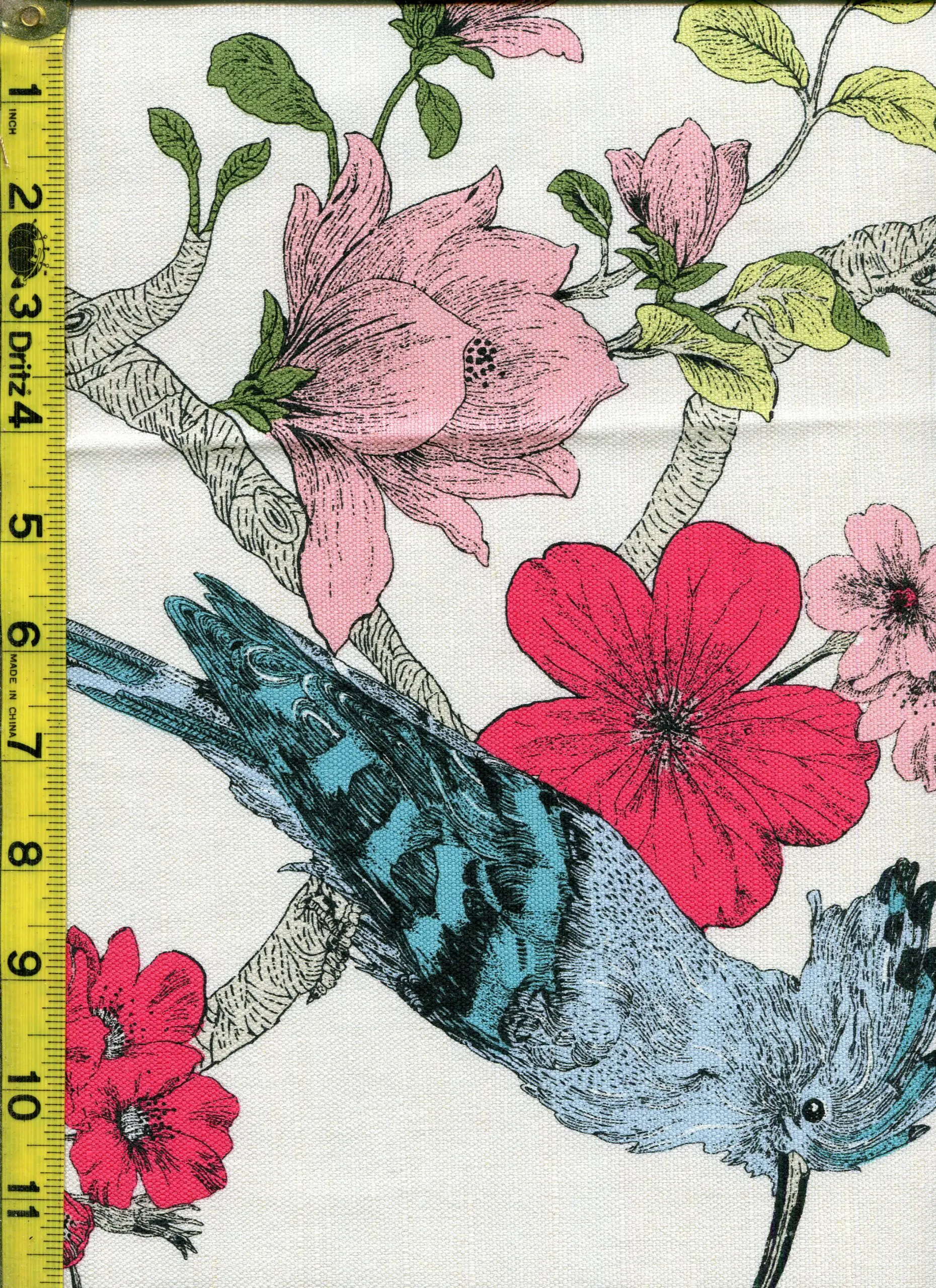 Novelty 6/30/23 cgc