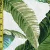 Leaves 7/7/23 cgc
