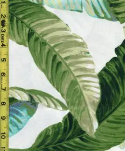 Leaves 7/7/23 cgc
