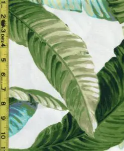 Leaves 7/7/23 cgc
