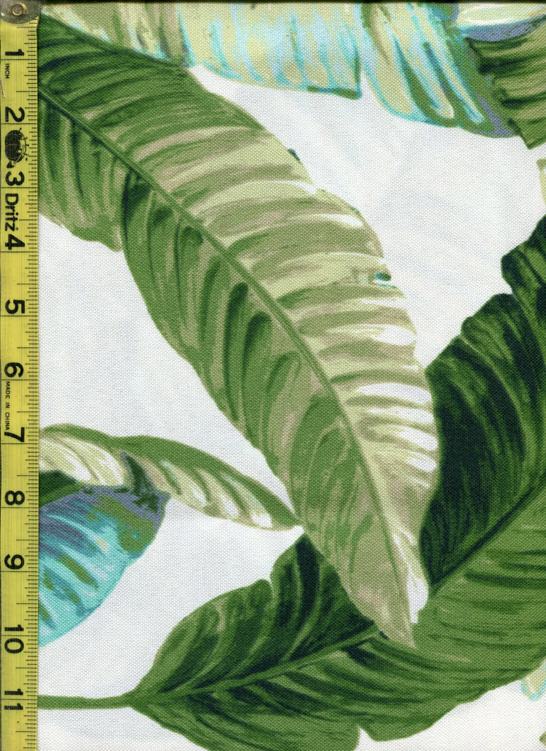 Leaves 7/7/23 cgc