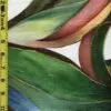Floral 11/4/23 cgc