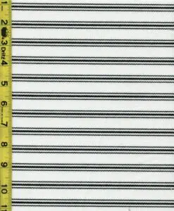 Stripe 11/17/23 cgc