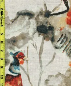 Alternative view of imgC917