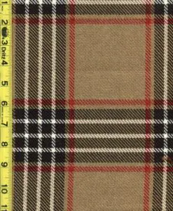 Plaid 2/9/24 cgc