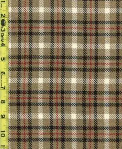 Plaid 2/9/24 cgc