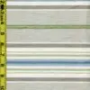 Stripes 2/9/24 cgc