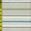 Stripes 2/9/24 cgc