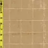 Plaid 4/29/24 cgc
