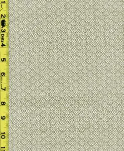 Novelty 4/29/24