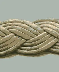 Braid 4/26/24 cgc