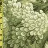 Floral 5/13/24 cgc