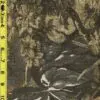 Floral 6/10/24 cgc