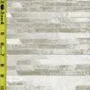 Stripe 8/2/24 cgc