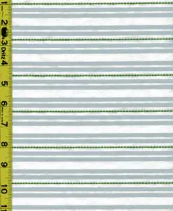 Stripe 8/9/24 cgc