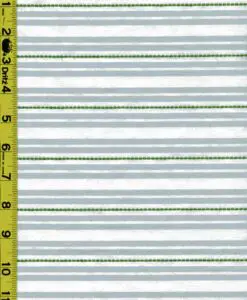 Stripe 8/9/24 cgc