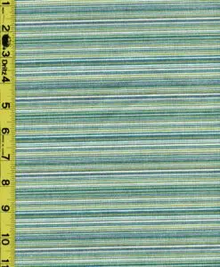 Stripe 11/2/24 cgc