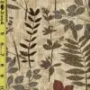 Floral 12/7/24 cgc