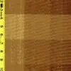 Silk Check 1/22/25 rk