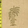 silk embroidery 1/26/25 rk