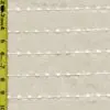Stripe 1/18/25 cgc