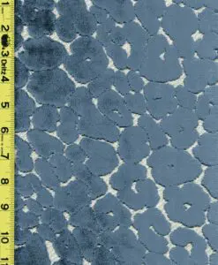imgD255