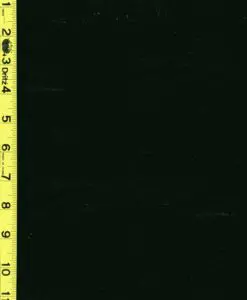 Vinyl 2/13/25 rk