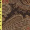 Paisley 2/7/25 cgc