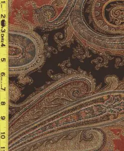 Paisley 2/7/25 cgc