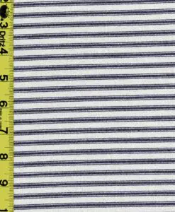 Stripe 2/7/25 cgc