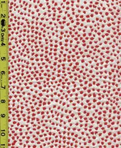 Dots 2/24/25 cgc